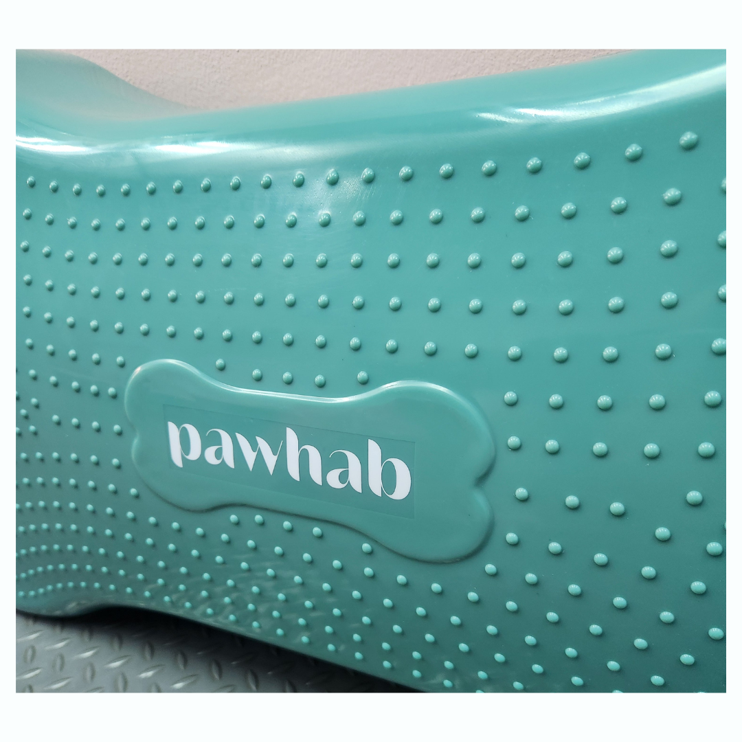 PAWHAB Exercise Bone (Large)