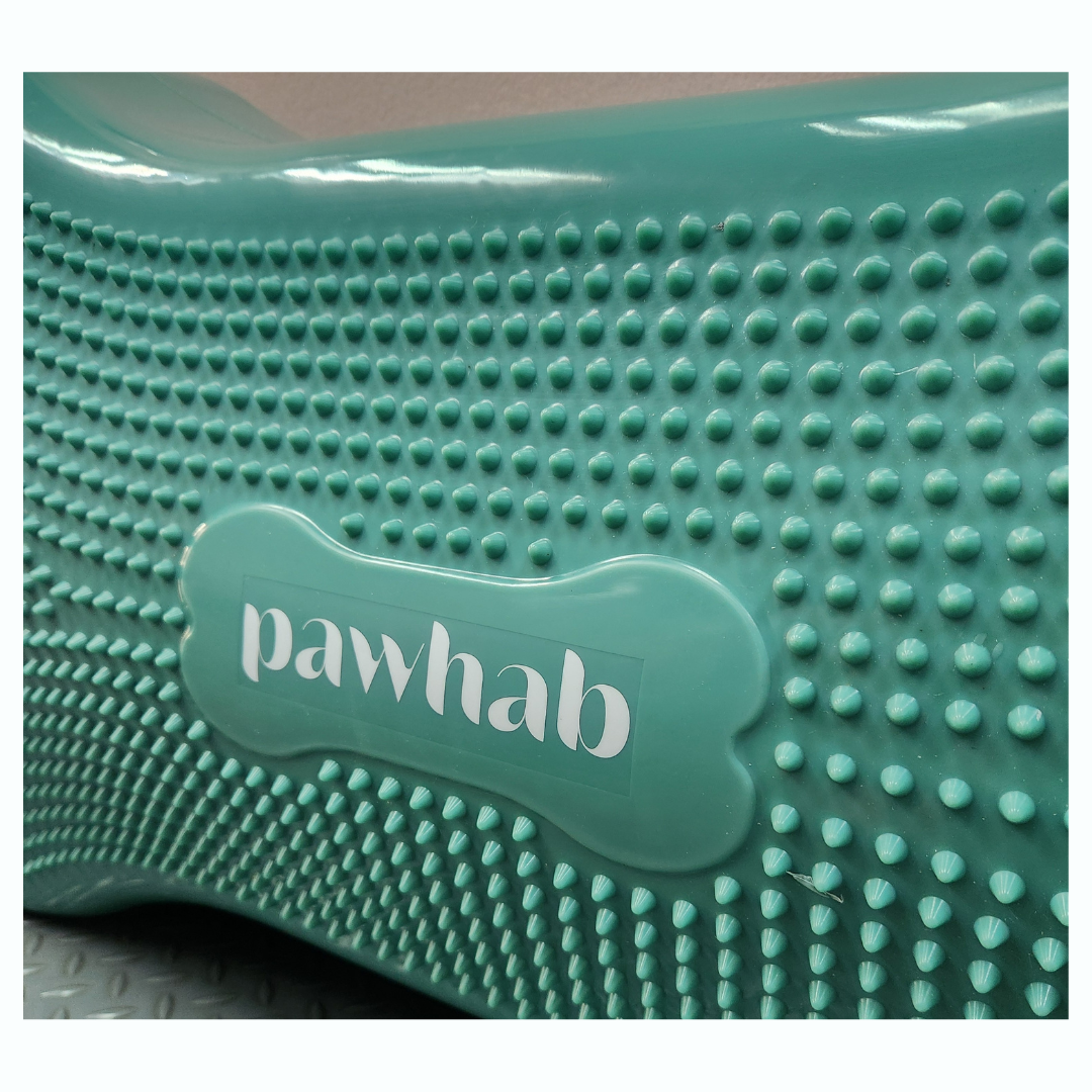 PAWHAB Exercise Bone (Large)