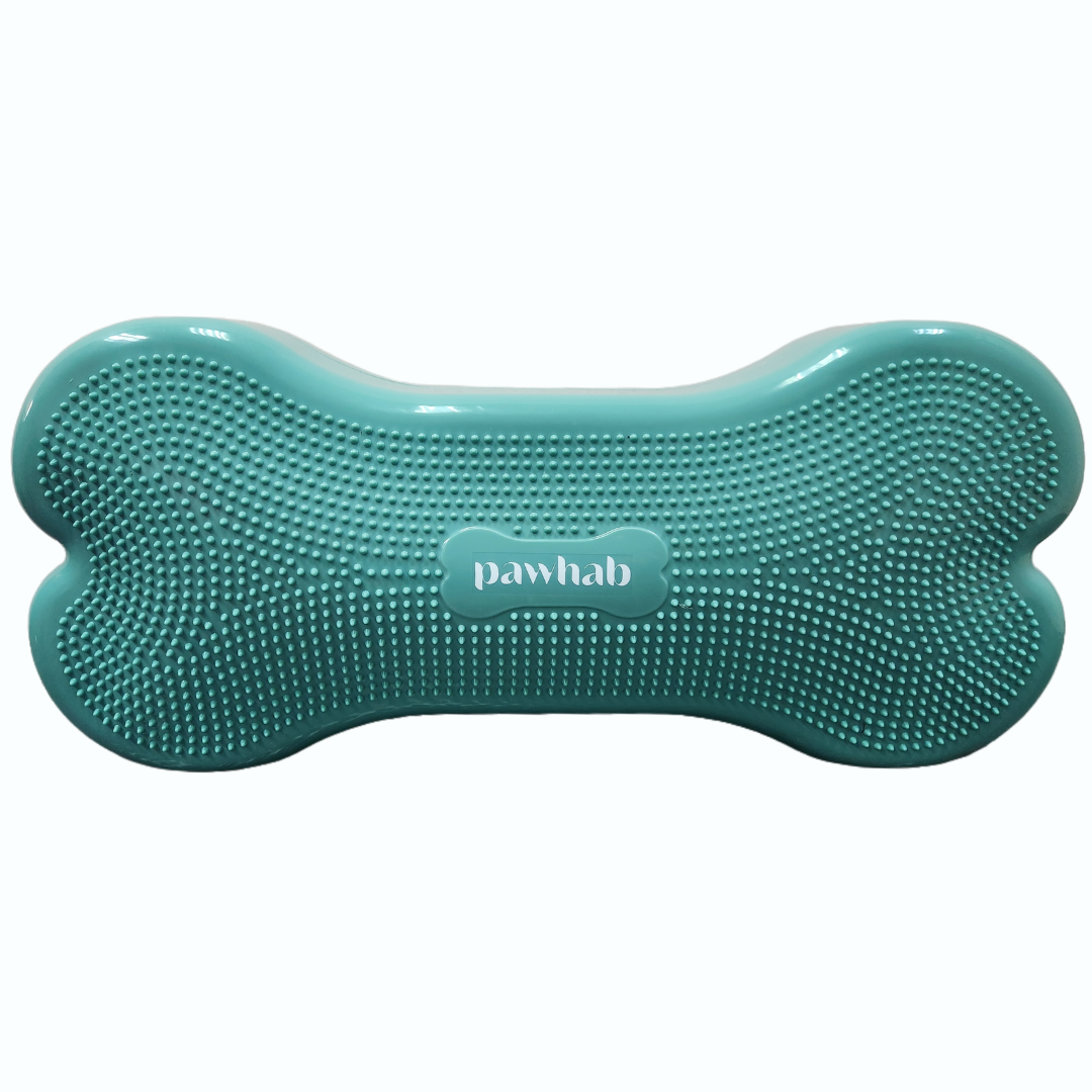 PAWHAB Exercise Bone (Large)