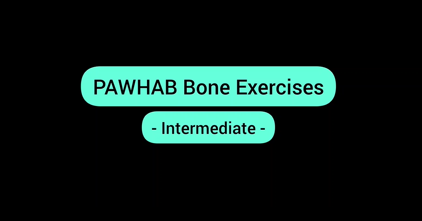 PAWHAB Bone Tutorial Video - Intermediate