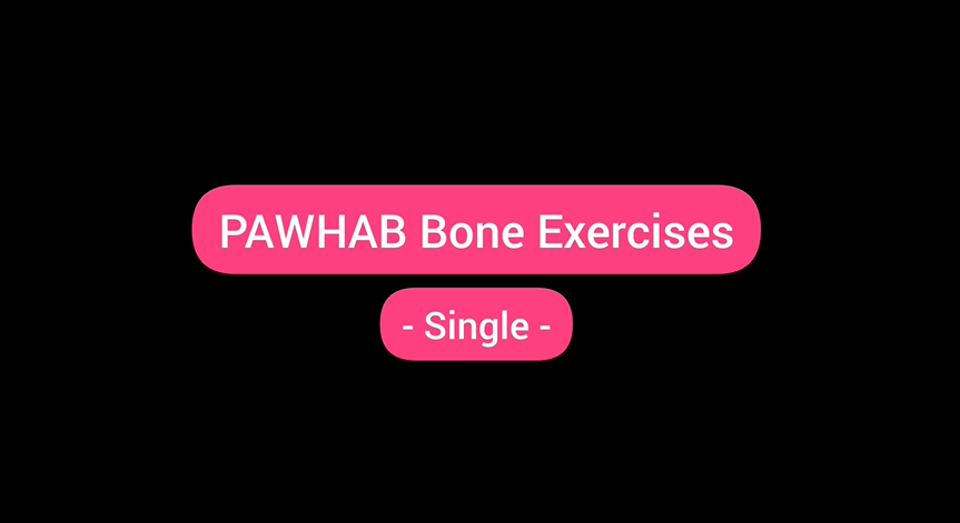 PAWHAB Bone Tutorial Video - Basic (Single)