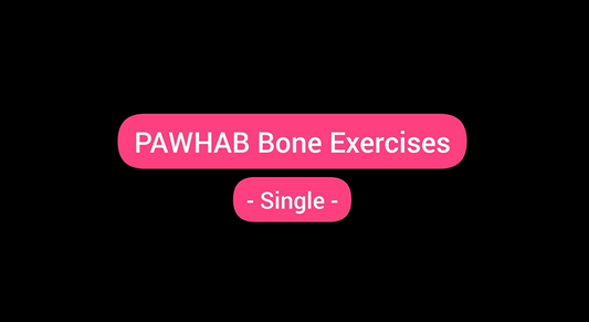 PAWHAB Bone Tutorial Video - Basic (Single)