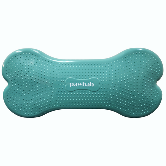 PAWHAB Exercise Bone (Large)