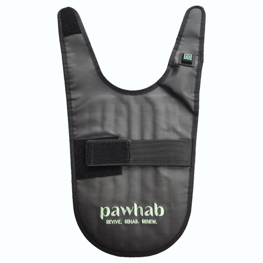 PAWHAB Light Therapy Vest (Medium)