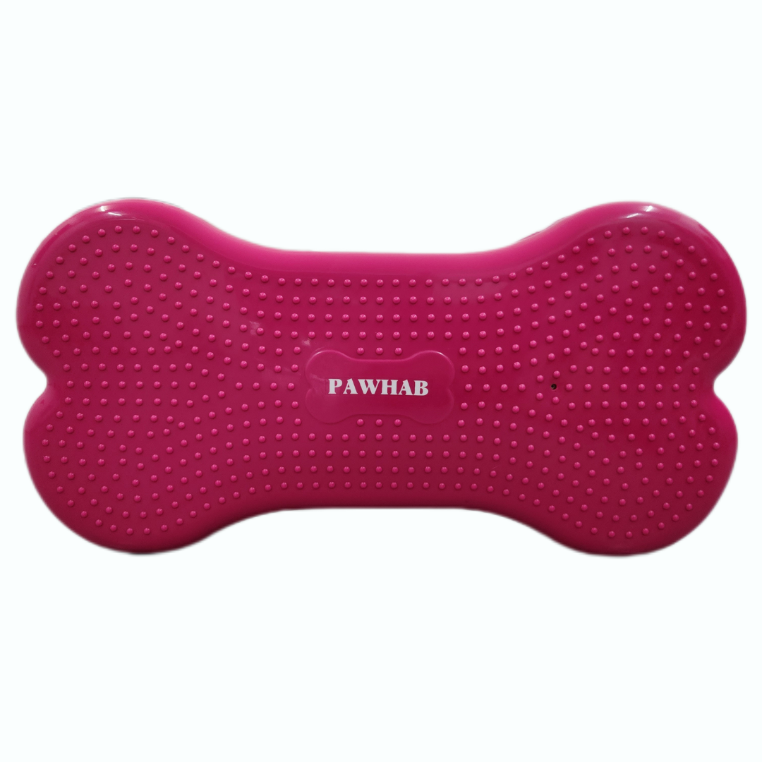 PAWHAB Exercise Bone (Medium)