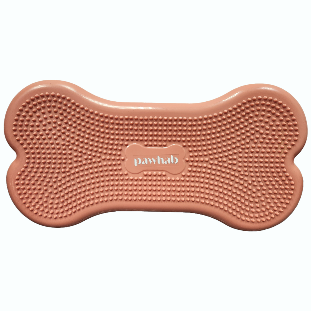 PAWHAB Exercise Bone (Medium)