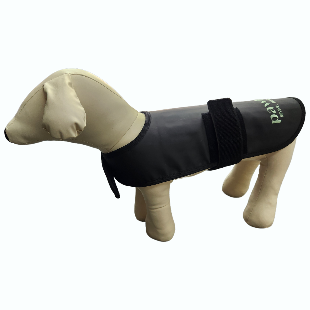 PAWHAB Light Therapy Vest (Medium)