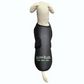 PAWHAB Light Therapy Vest (Medium)