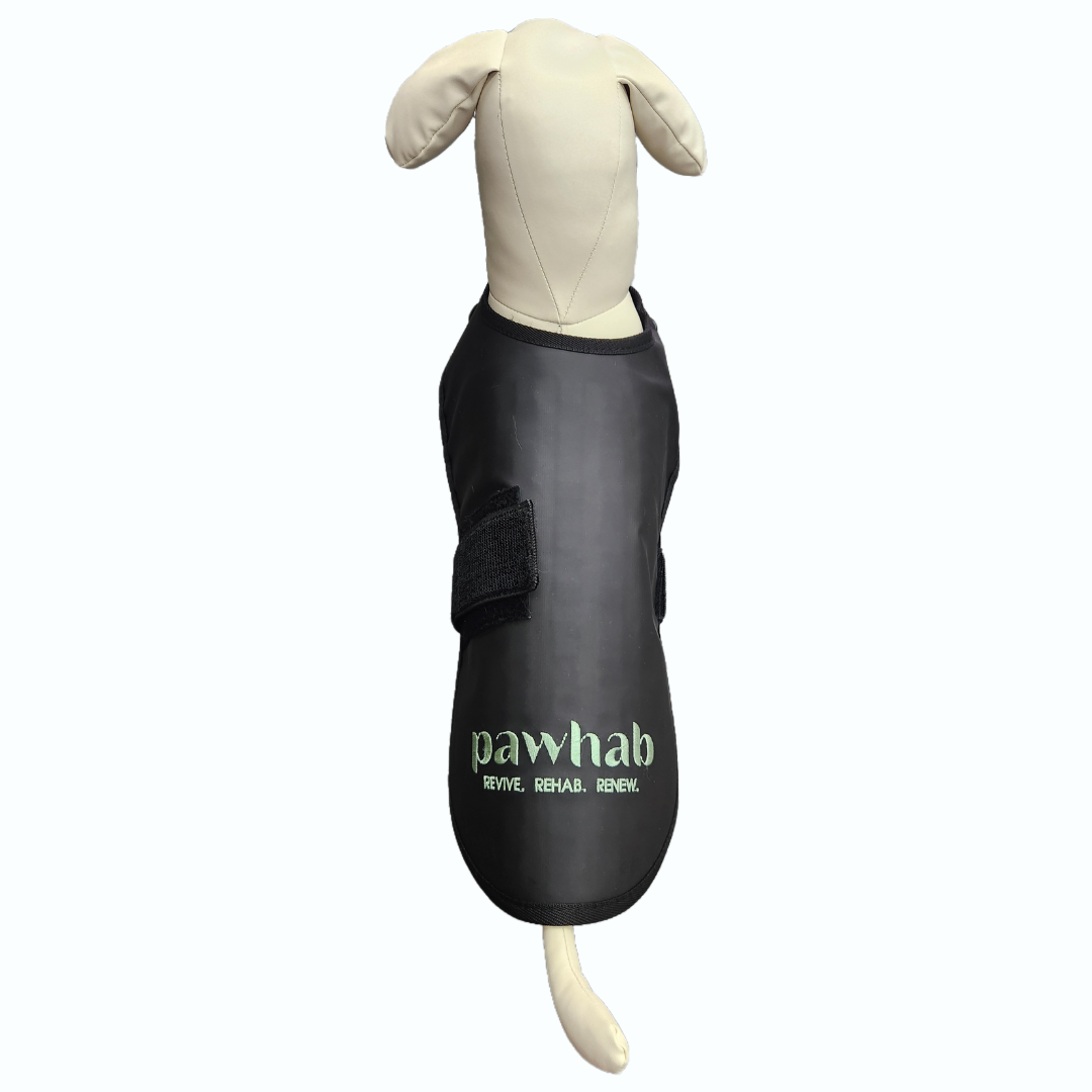 PAWHAB Light Therapy Vest (Medium)